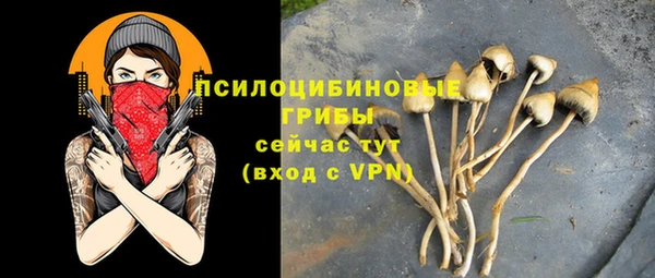 2c-b Верхний Тагил