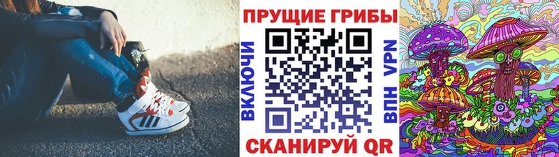 KRAKEN ссылки  Кемерово  Галлюциногенные грибы Cubensis 
